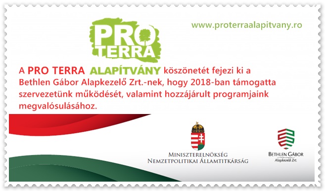 Miniszterelnökség Nemzetpolitikai Államtitkárság logó
